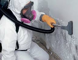 Best Basement Mold Removal  in Austintown, OH